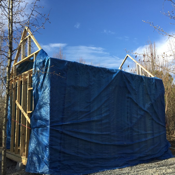 Tarp covering the tiny cabin