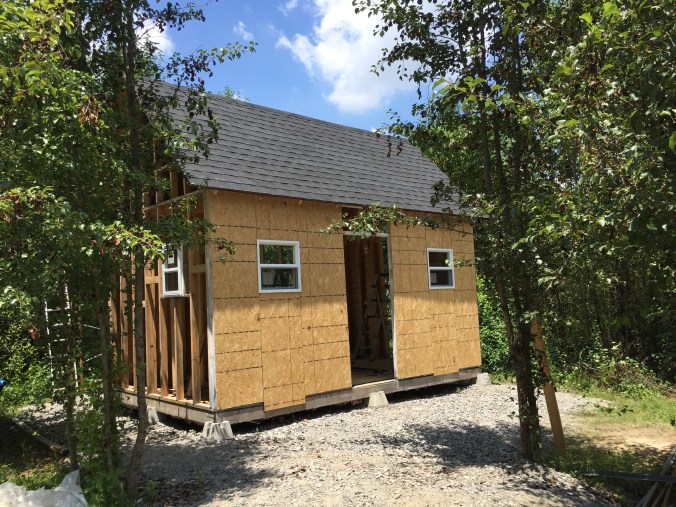 Tiny Cabin Roof Finished