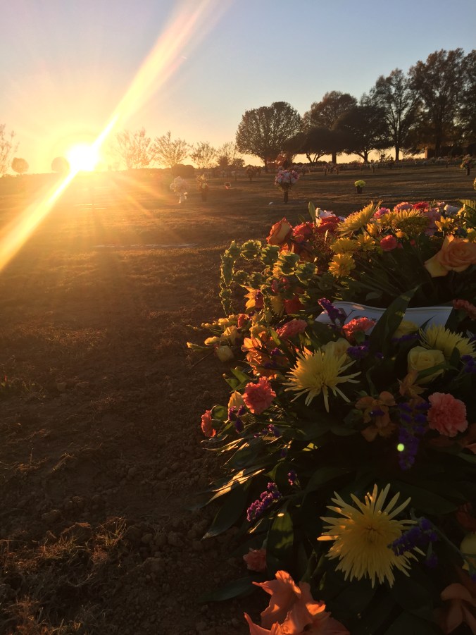 flowers-sunset