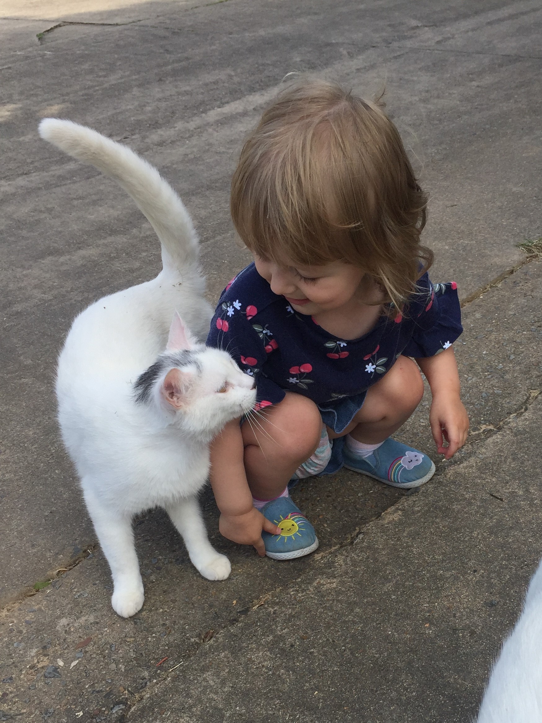 Ariel with a white cat summer 2019